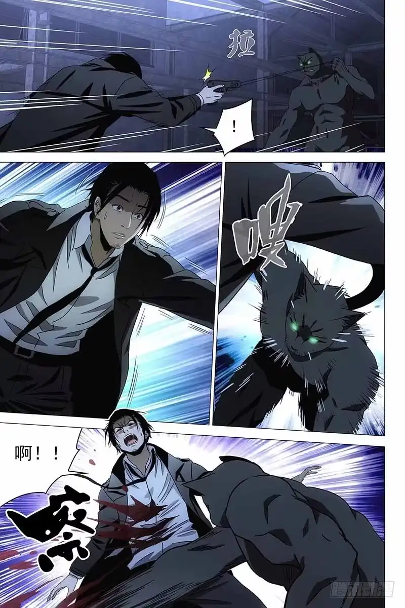 迷都 088猫面人 六 第8页