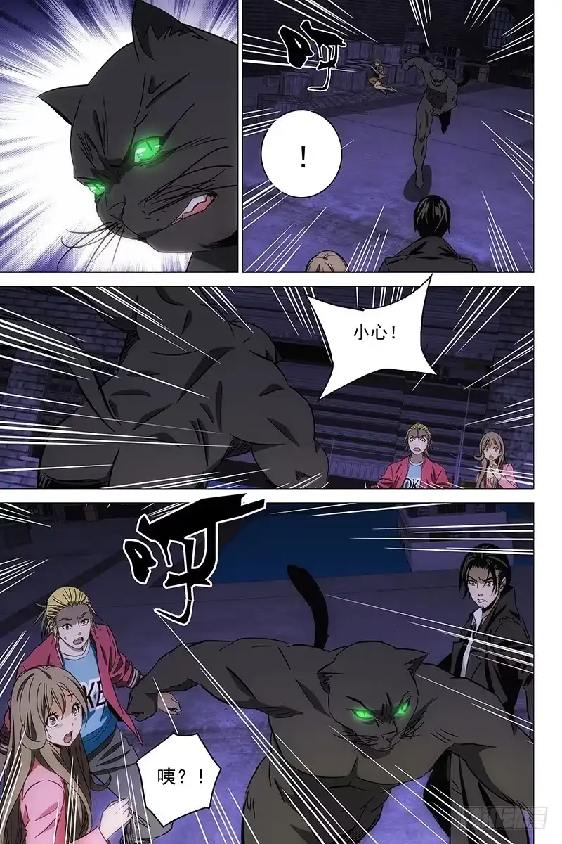 迷都 096猫面人 十四 第4页