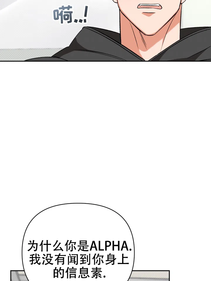 迷恋信息素 第10话 第43页