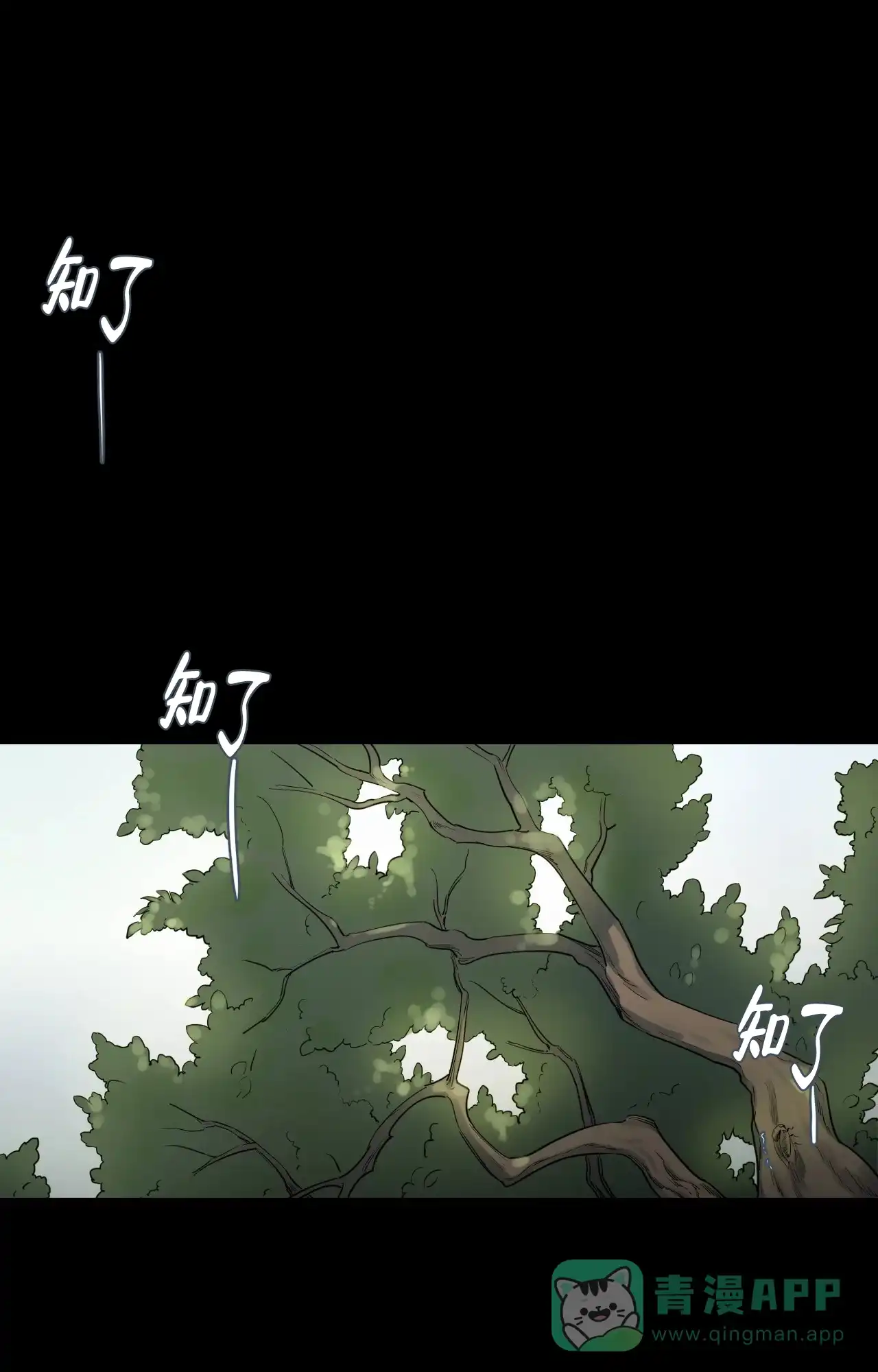《秘密领域》第25话 第1页