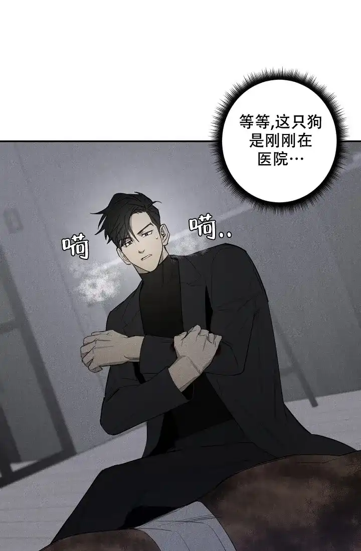 《迷失方向》第4话 第20页