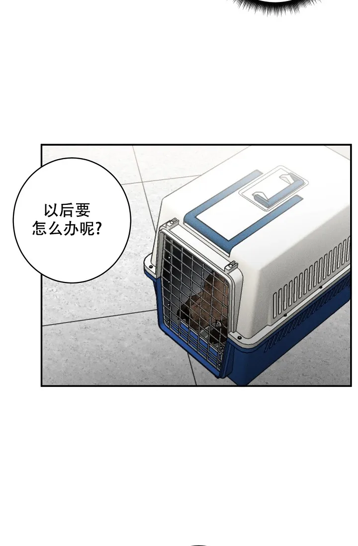 《迷失方向》第6话 第4页