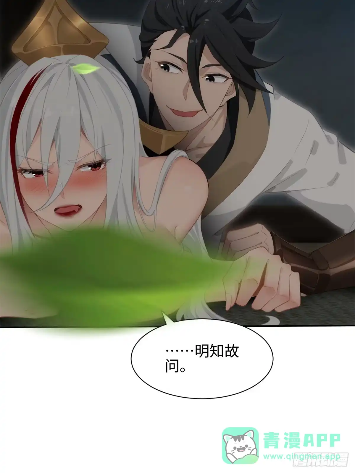 16.jpg