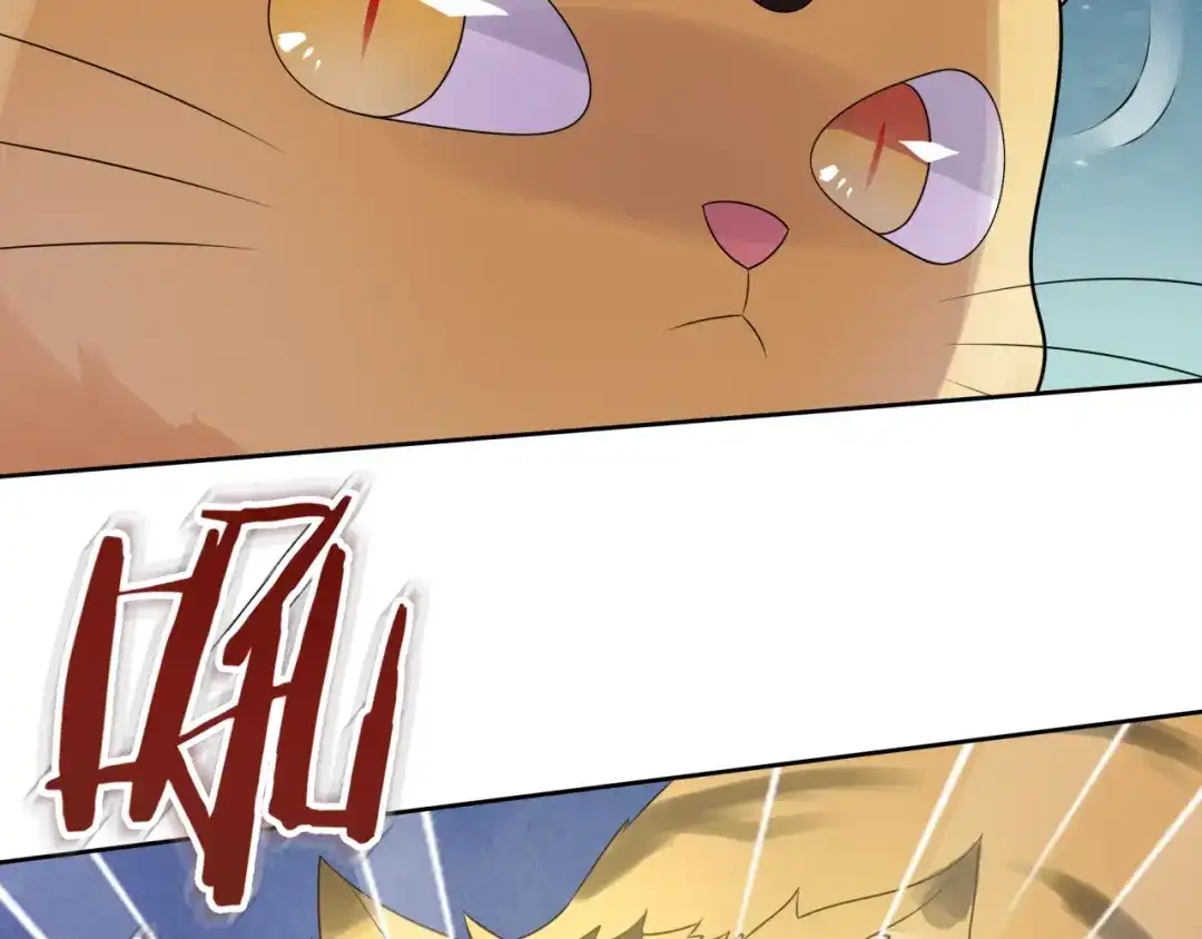 《魔君大人，夫人又暴走了！》第45话 我的小猫咪 第11页
