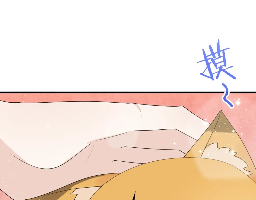 《魔君大人，夫人又暴走了！》第45话 我的小猫咪 第66页