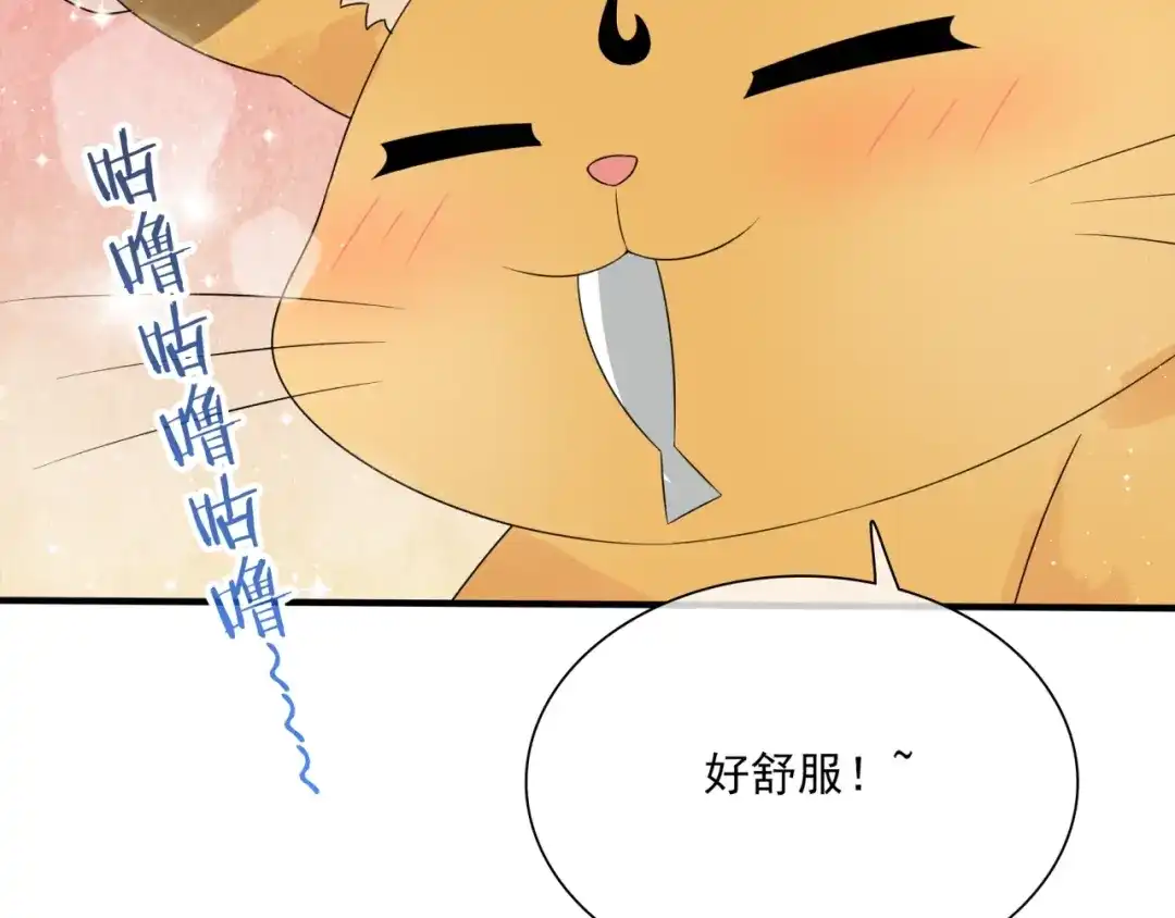 《魔君大人，夫人又暴走了！》第45话 我的小猫咪 第67页
