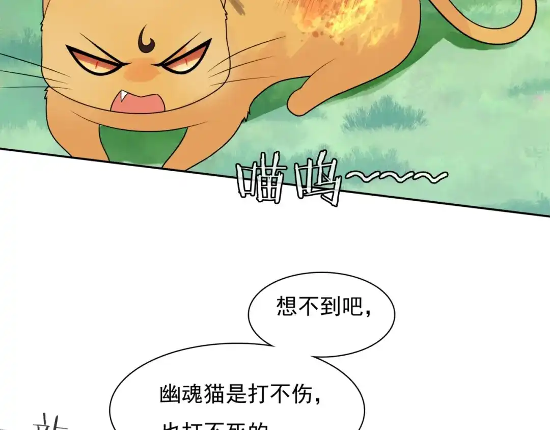 《魔君大人，夫人又暴走了！》第45话 我的小猫咪 第49页