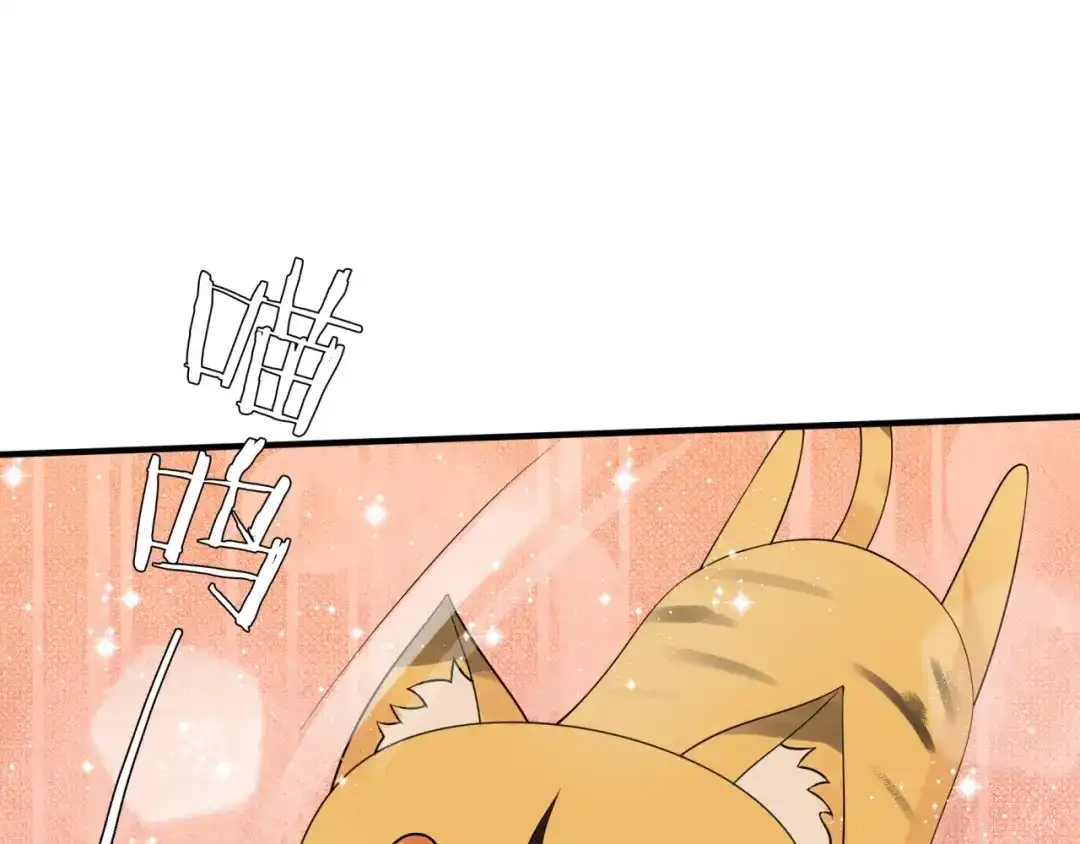 《魔君大人，夫人又暴走了！》第45话 我的小猫咪 第62页