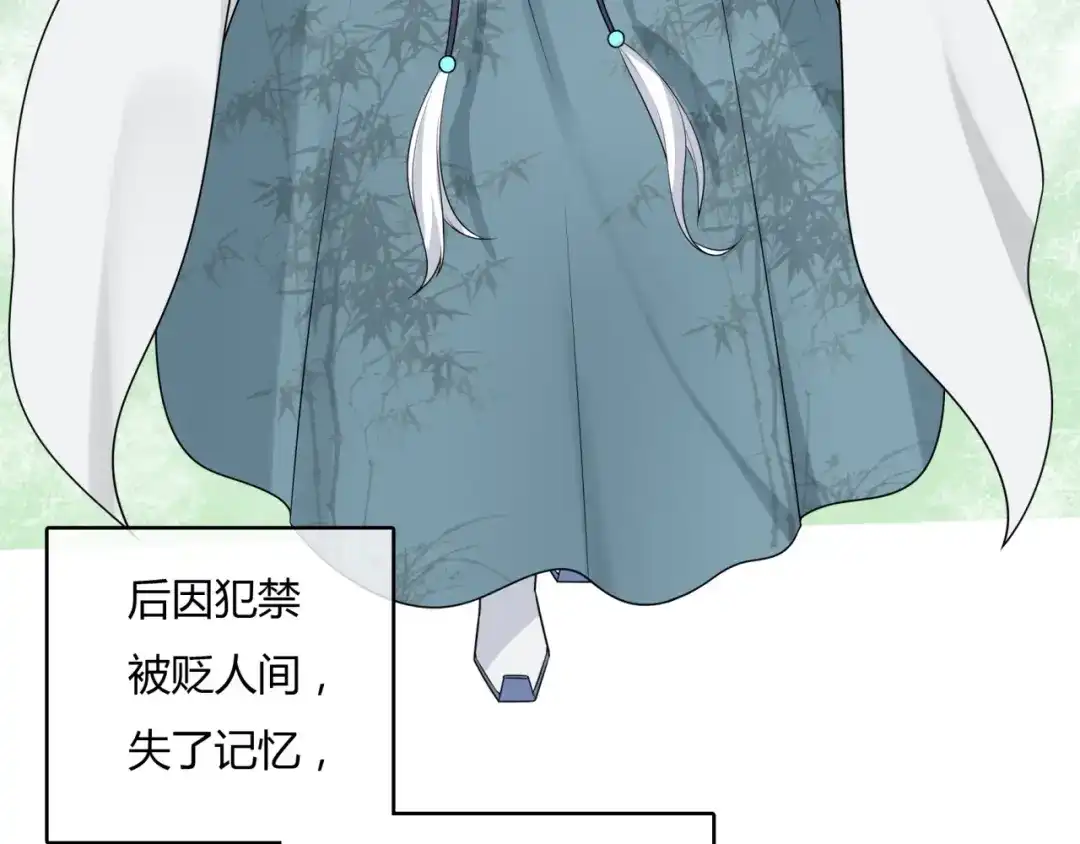 《魔君大人，夫人又暴走了！》第63话 陪伴是长情的告白 第73页