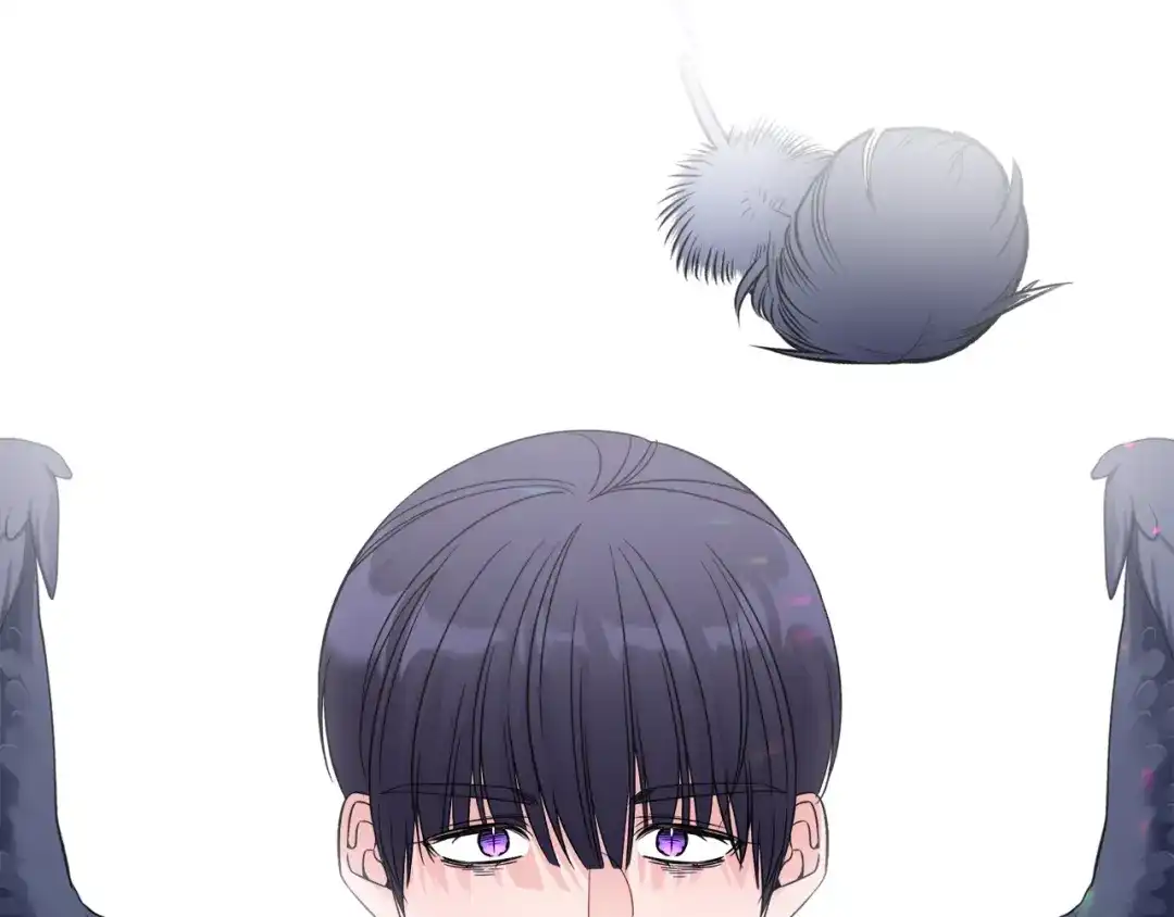《莫名其妙养了王子大人》第30话 闯祸 第31页