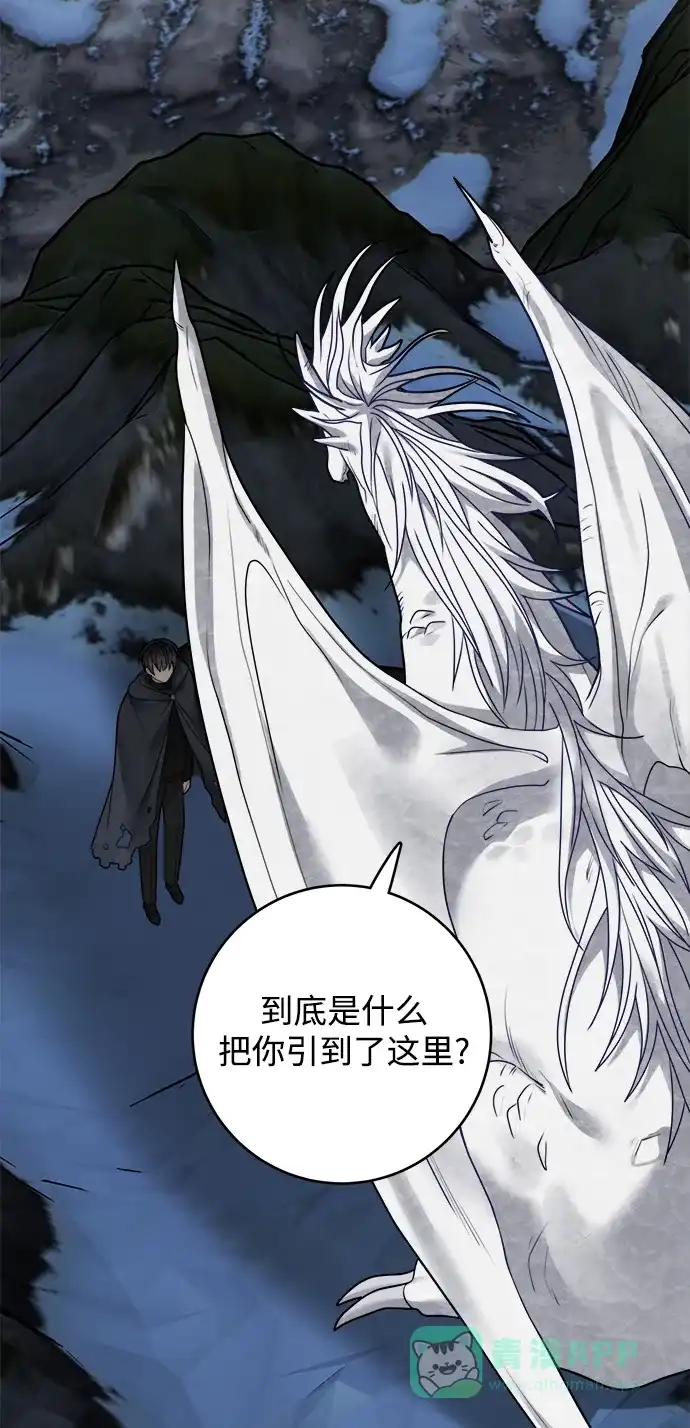 《魔女和龙的新婚日记》第100话 第28页