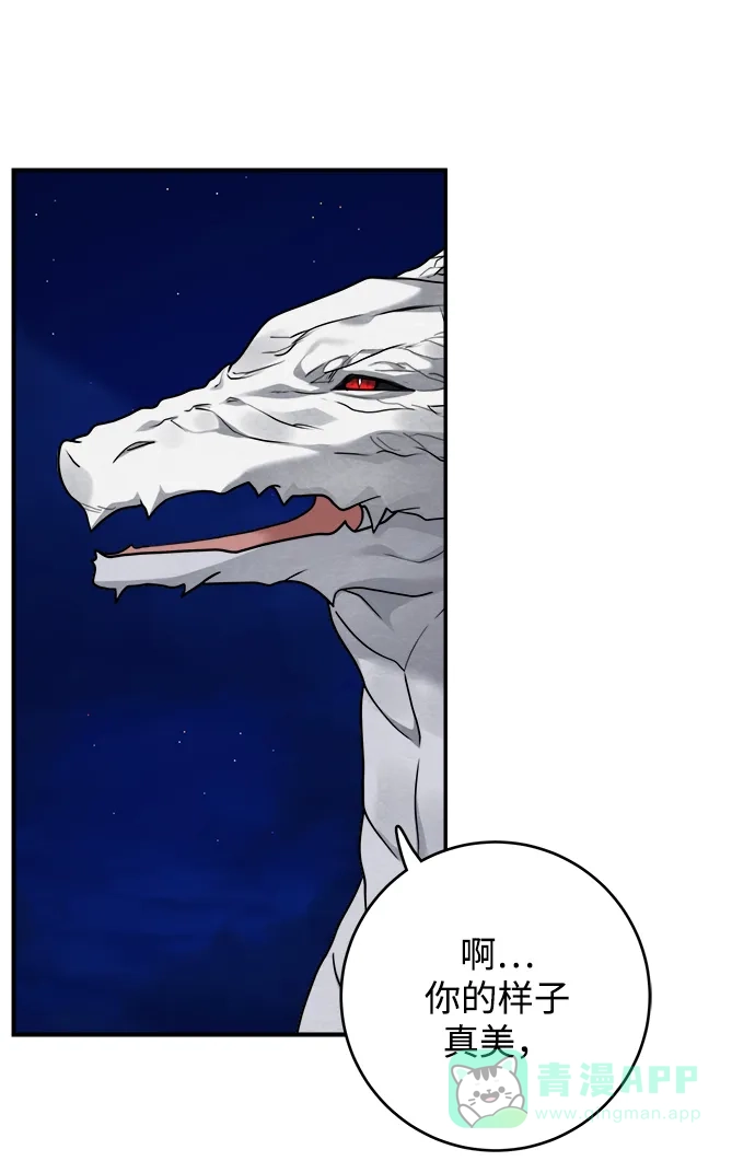 《魔女和龙的新婚日记》第100话 第64页