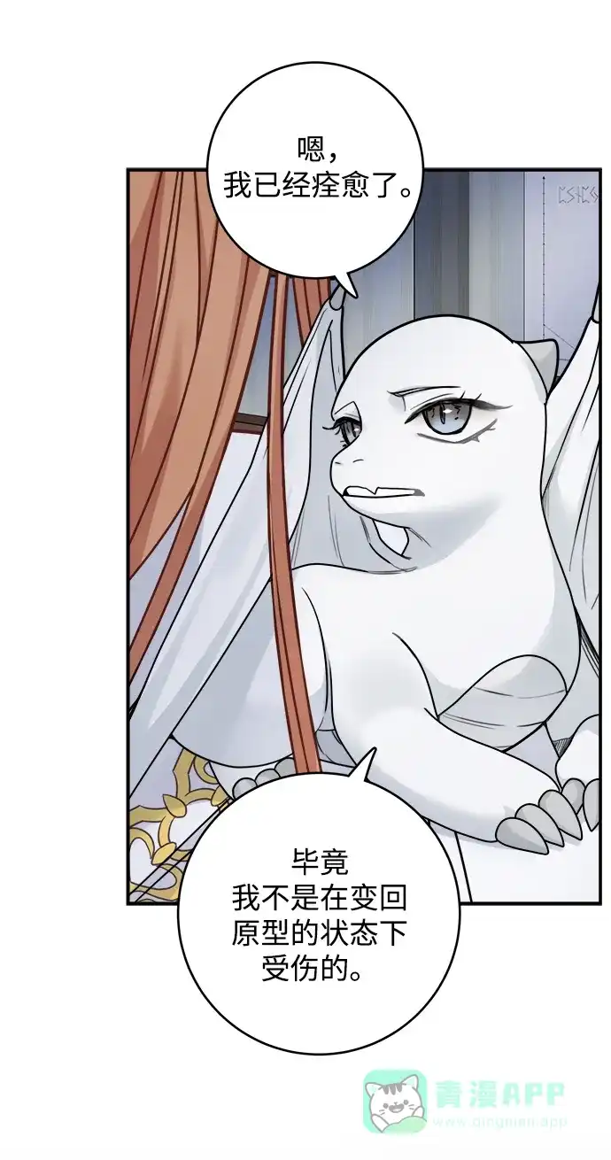 《魔女和龙的新婚日记》第100话 第45页