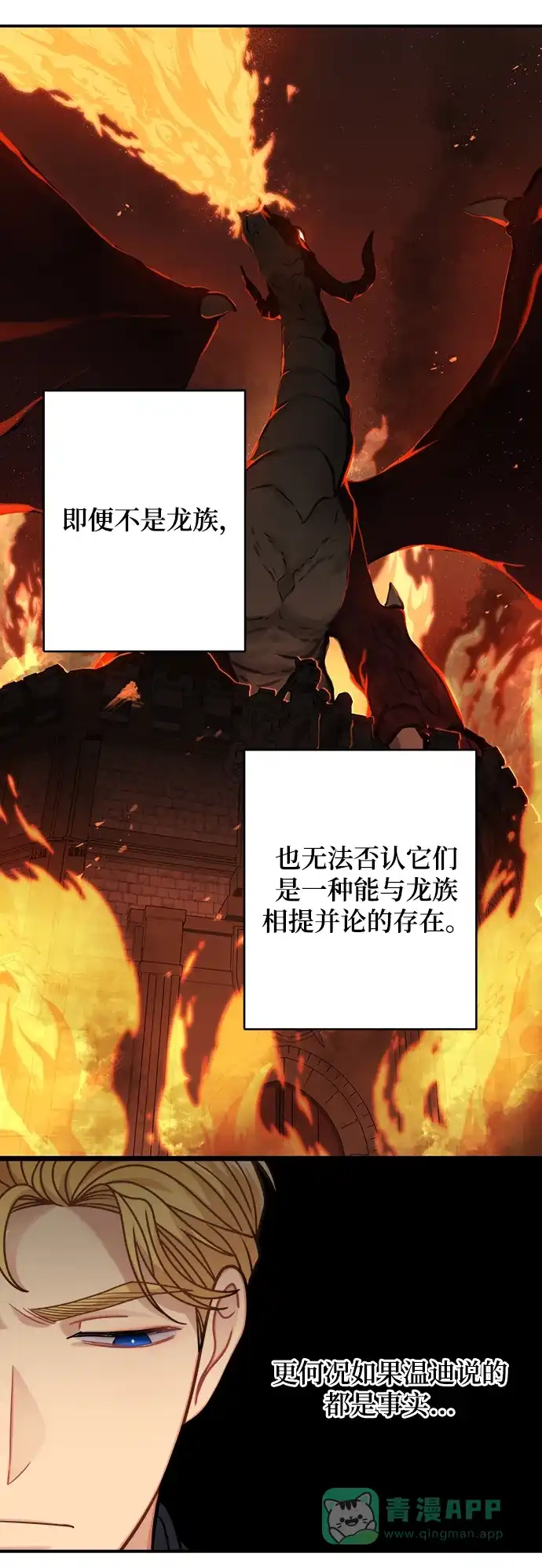 《魔女和龙的新婚日记》第101话 第12页