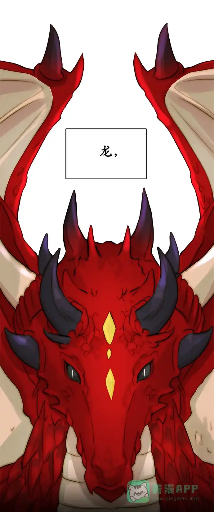 《魔女和龙的新婚日记》第11话 第1页