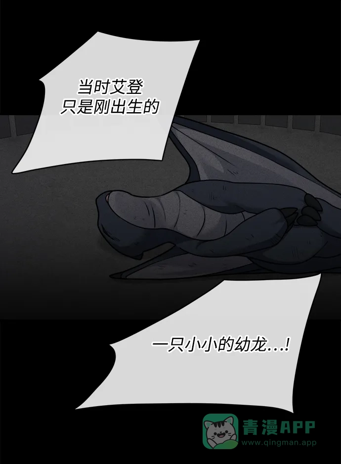 《魔女和龙的新婚日记》第107话 第26页