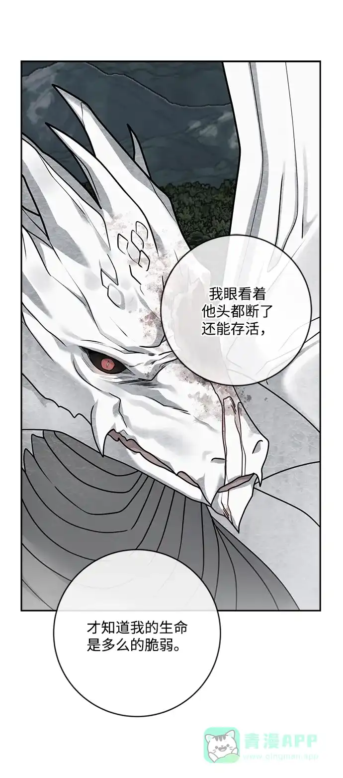 《魔女和龙的新婚日记》第108话 第19页