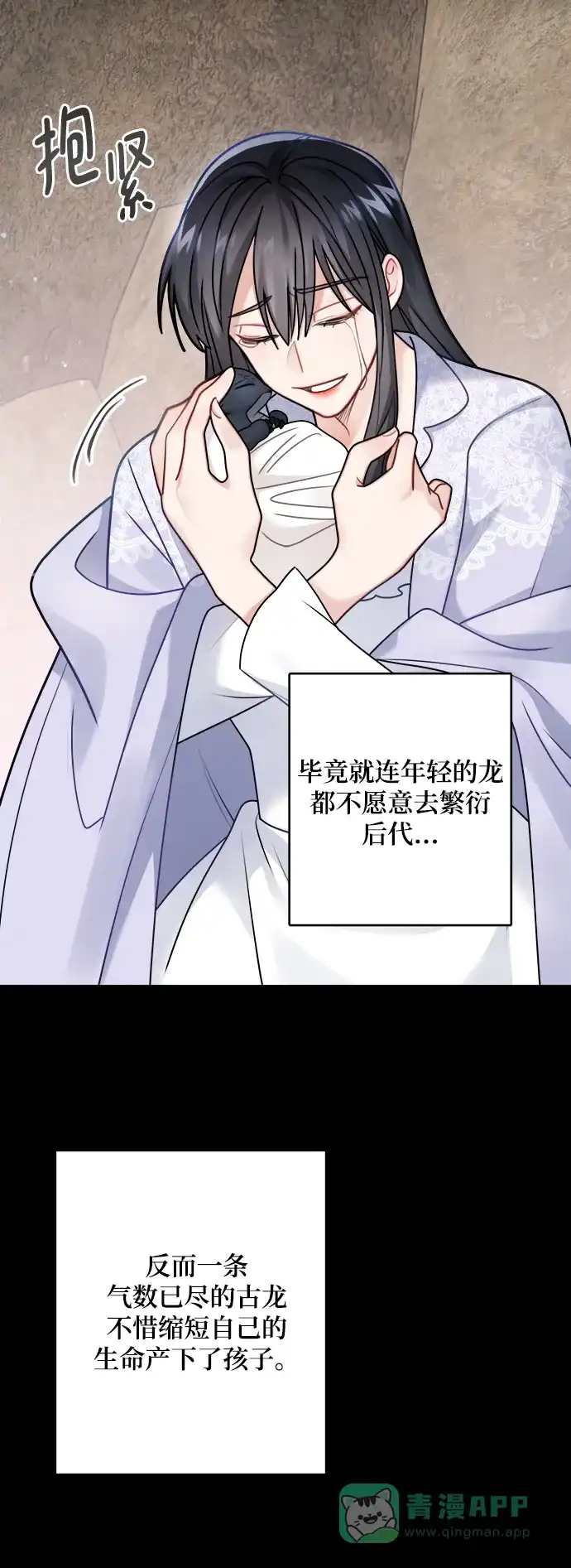 《魔女和龙的新婚日记》第109话 第47页