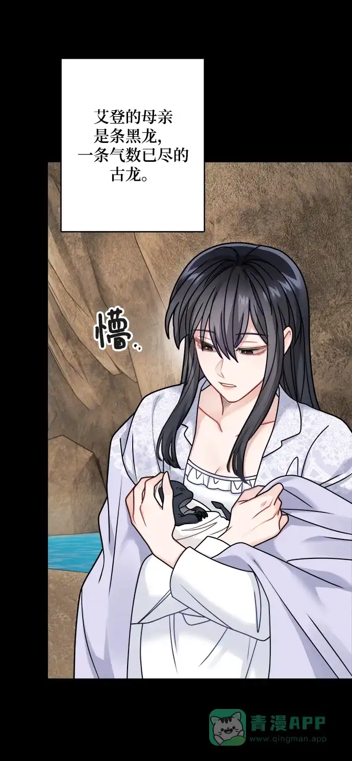 《魔女和龙的新婚日记》第109话 第44页