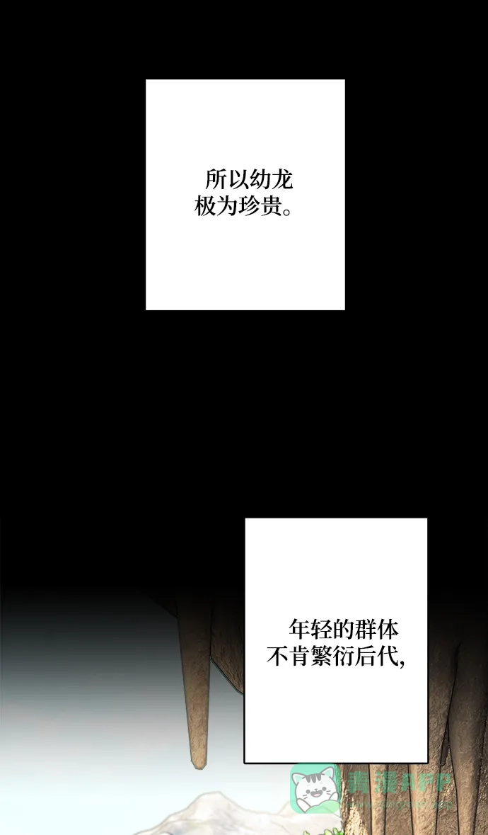《魔女和龙的新婚日记》第109话 第49页