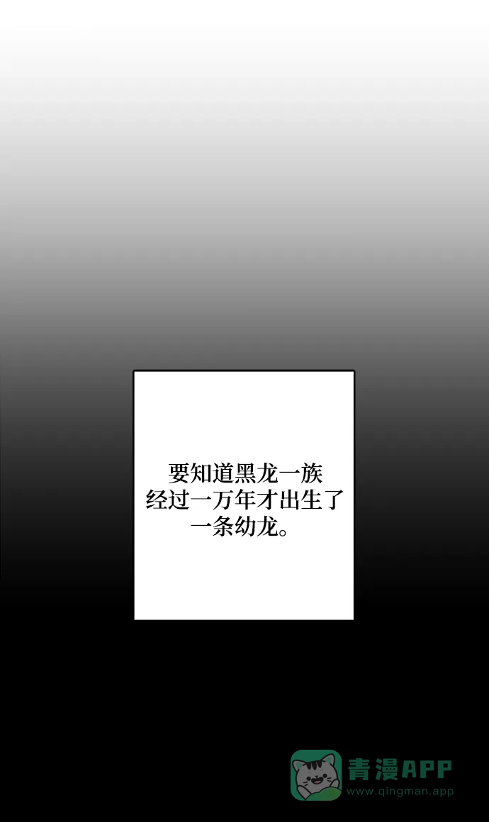 《魔女和龙的新婚日记》第109话 第40页