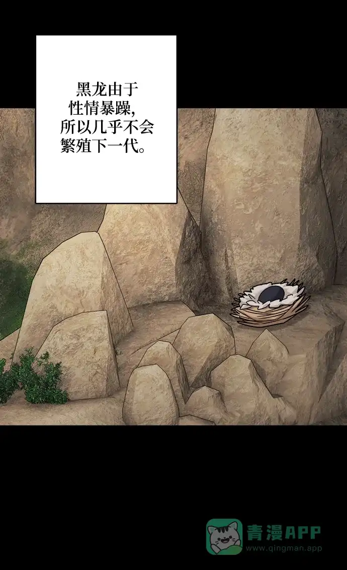 《魔女和龙的新婚日记》第109话 第41页