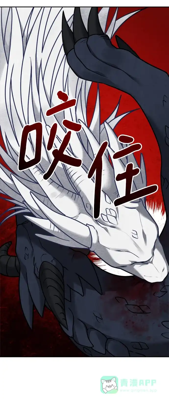 《魔女和龙的新婚日记》第111话 第25页