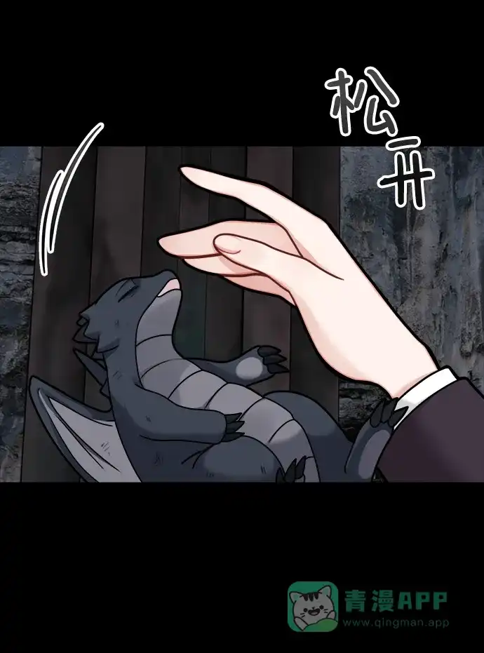《魔女和龙的新婚日记》第112话 第29页