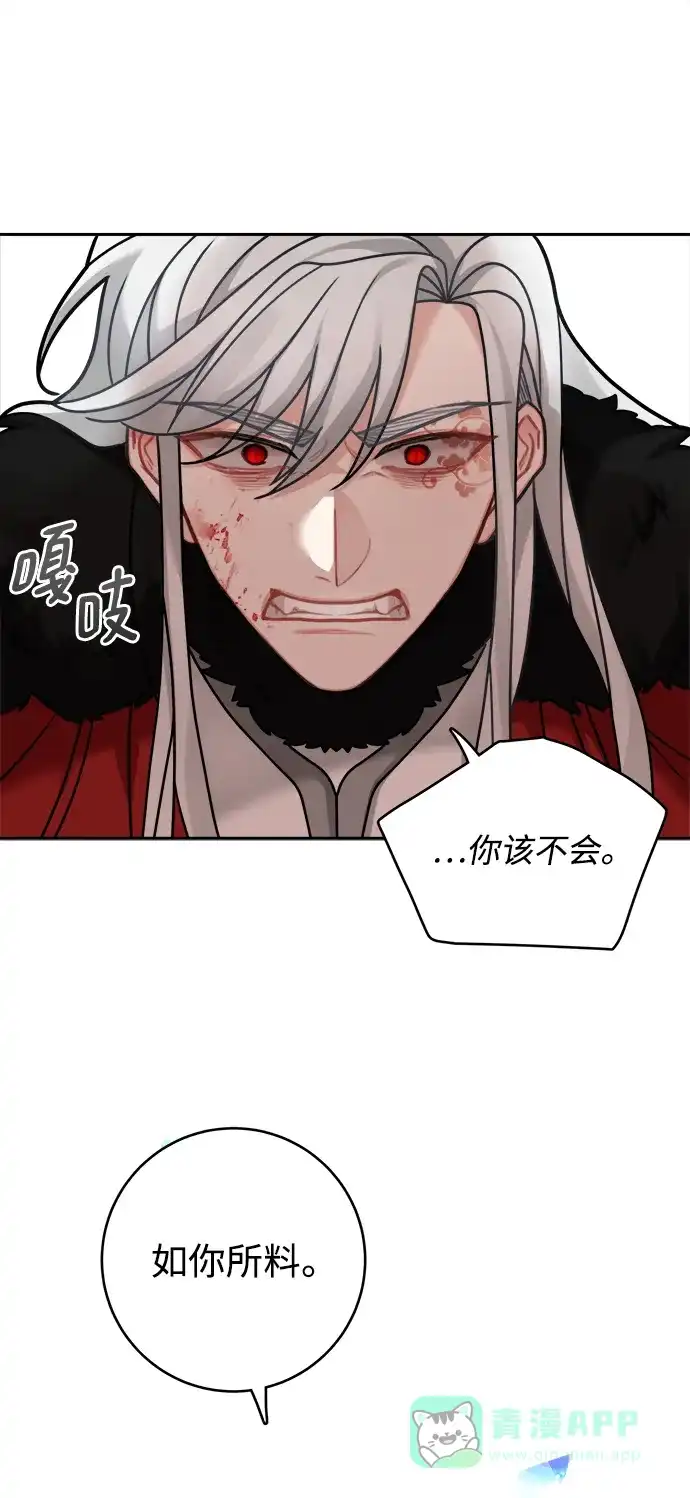 《魔女和龙的新婚日记》第114话 第56页