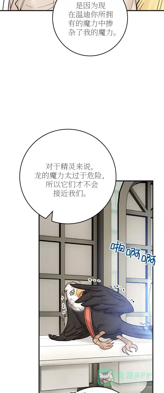 《魔女和龙的新婚日记》第50话 第16页