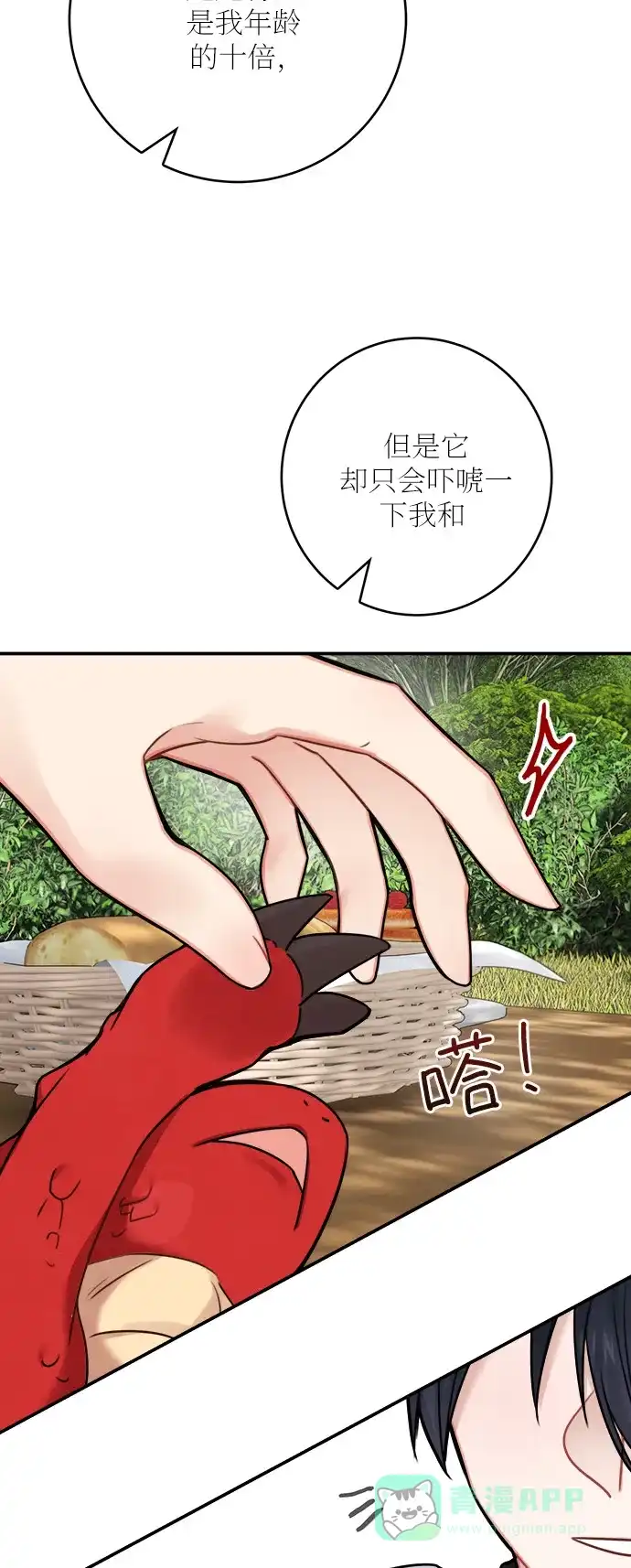 《魔女和龙的新婚日记》第52话 第一季 最终话 第37页