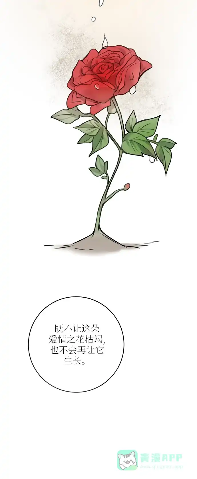 《魔女和龙的新婚日记》外传 1 第52页