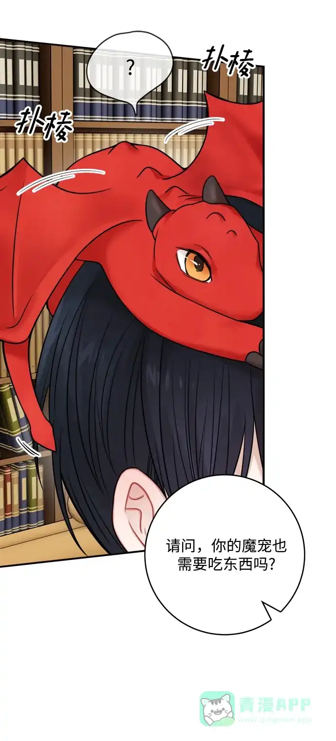 《魔女和龙的新婚日记》第54话 第41页