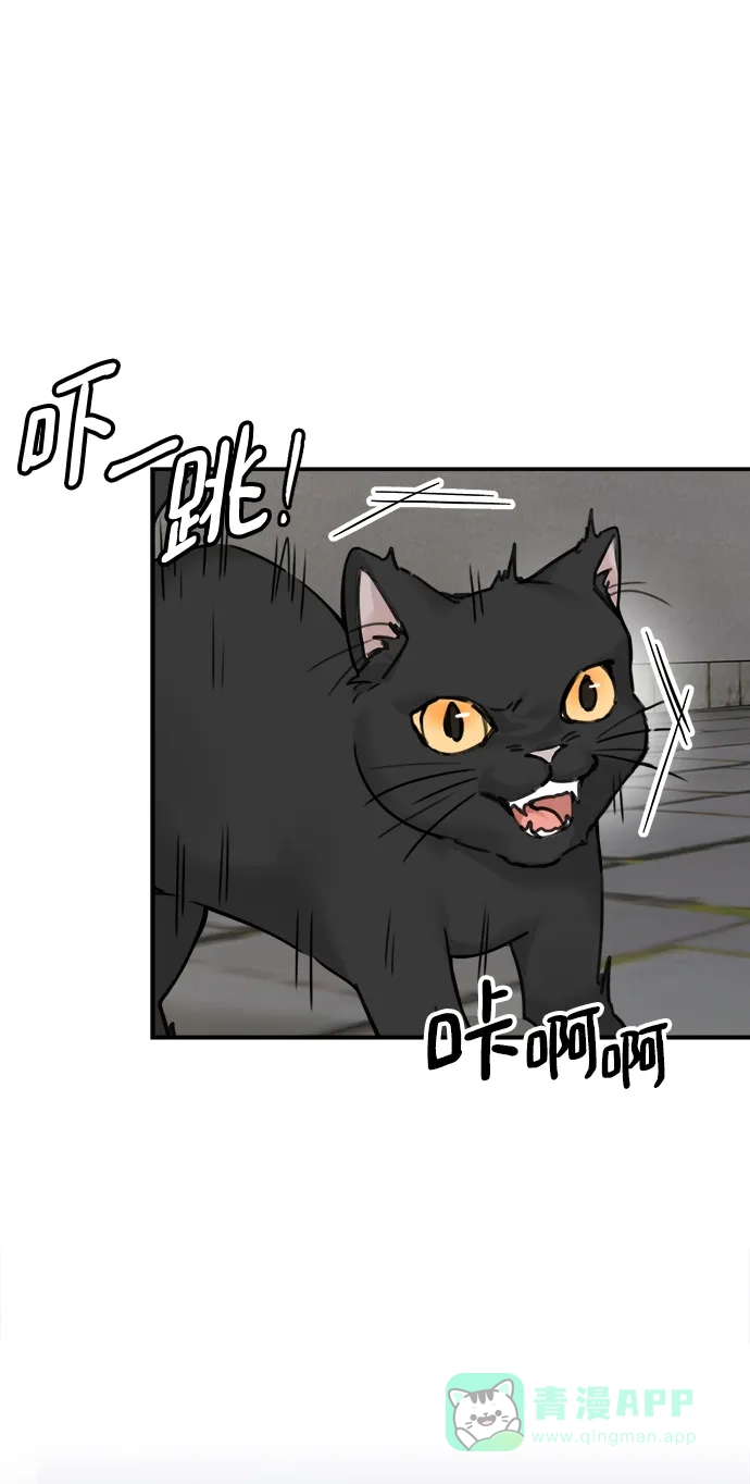 《魔女和龙的新婚日记》第55话 第42页