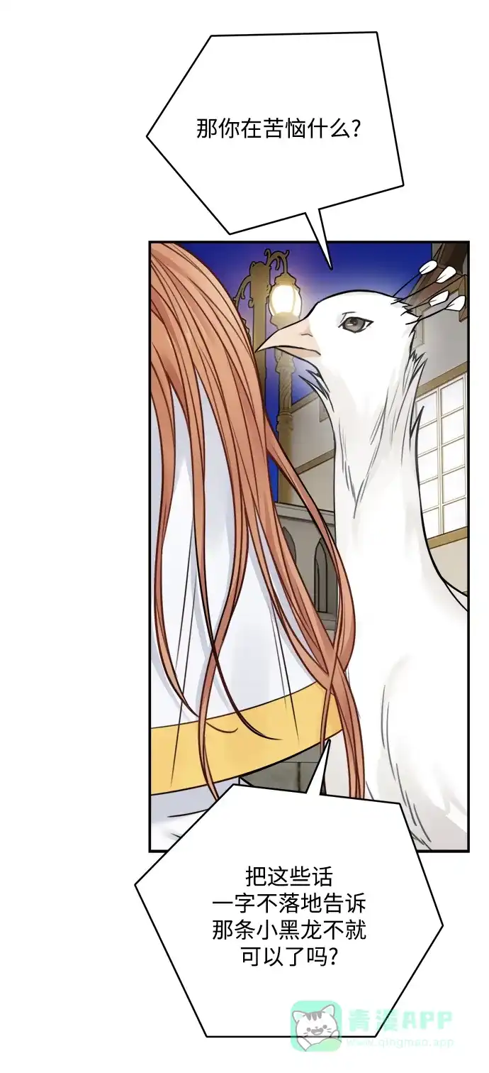 《魔女和龙的新婚日记》第56话 第36页