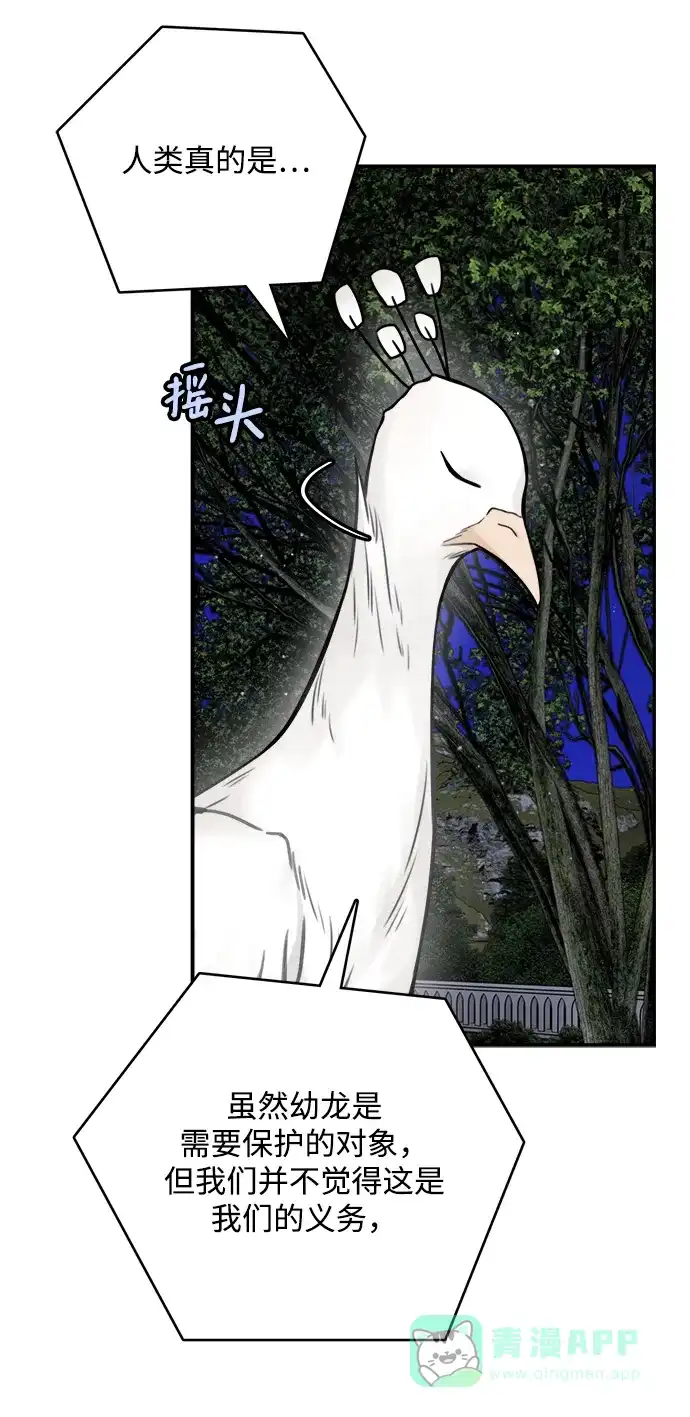 《魔女和龙的新婚日记》第56话 第14页