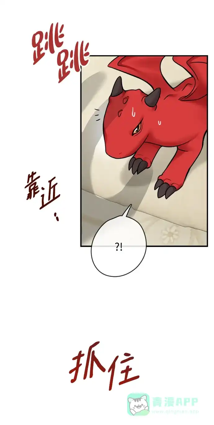 《魔女和龙的新婚日记》第61话 第47页