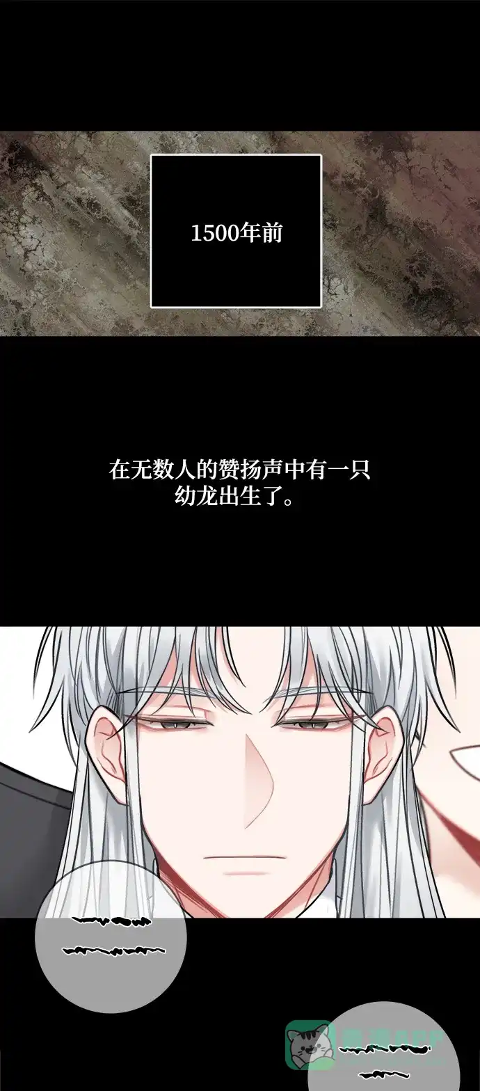 《魔女和龙的新婚日记》第66话 第1页
