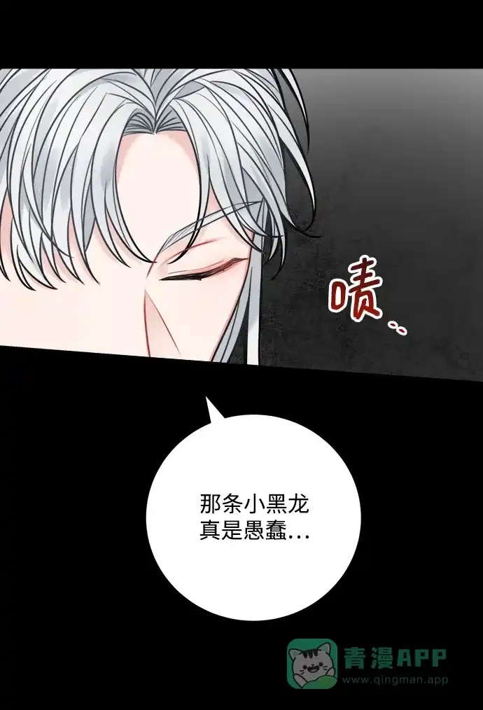 《魔女和龙的新婚日记》第66话 第44页