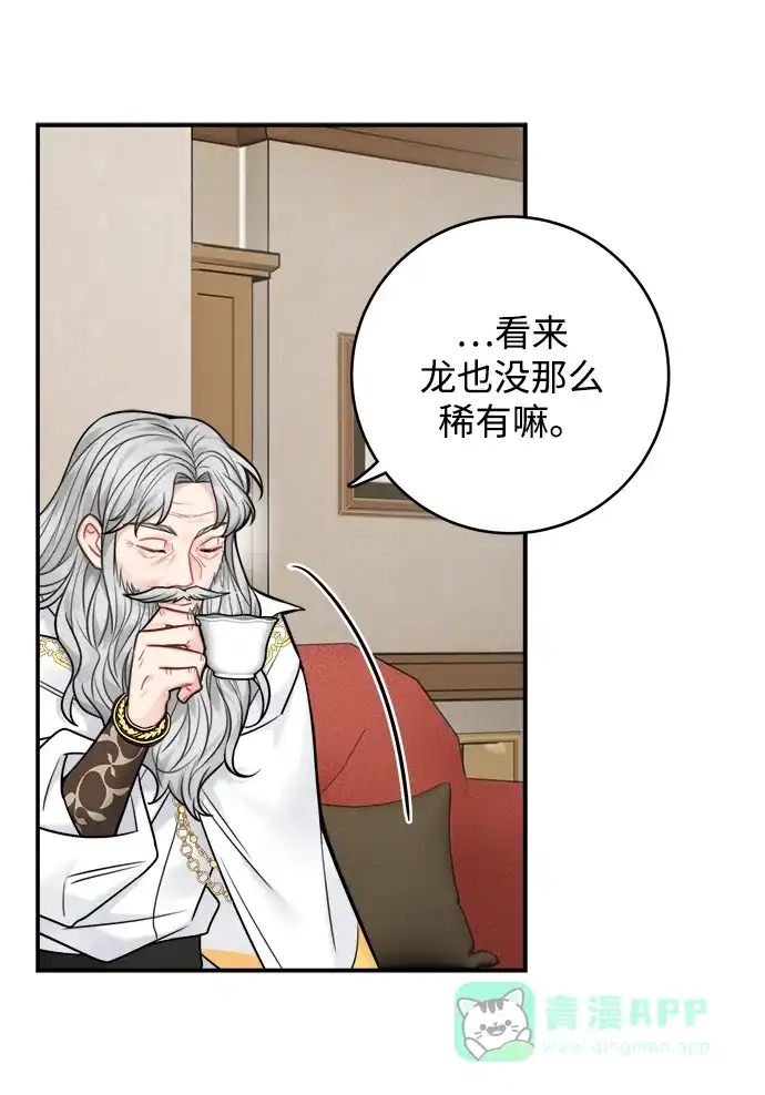 《魔女和龙的新婚日记》第73话 第28页