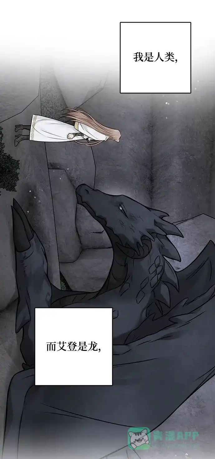 《魔女和龙的新婚日记》第93话 第52页
