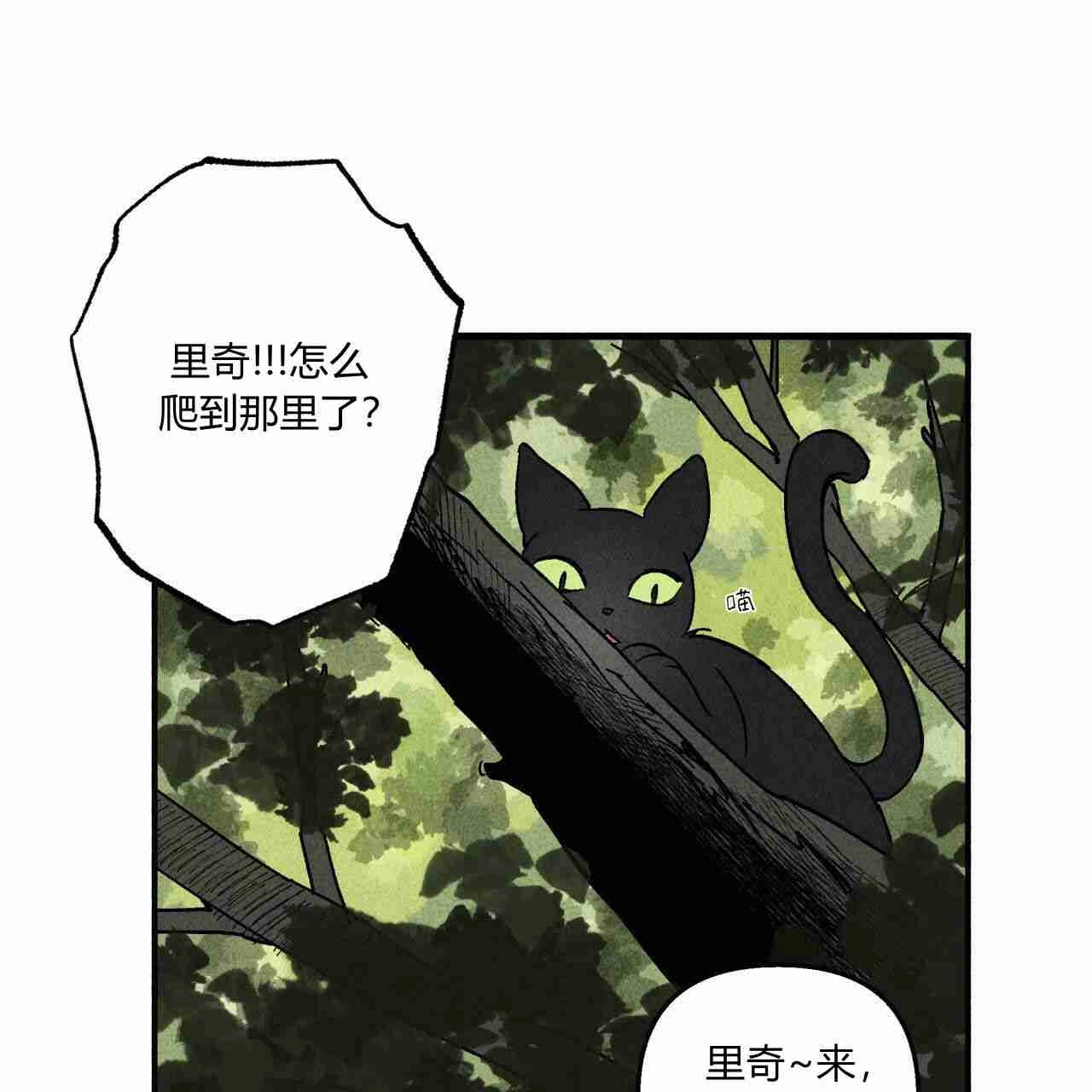 《魔女居住的岛屿》第11话 第12页