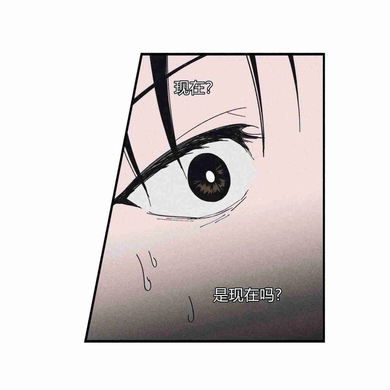 《魔女居住的岛屿》第20话 第38页