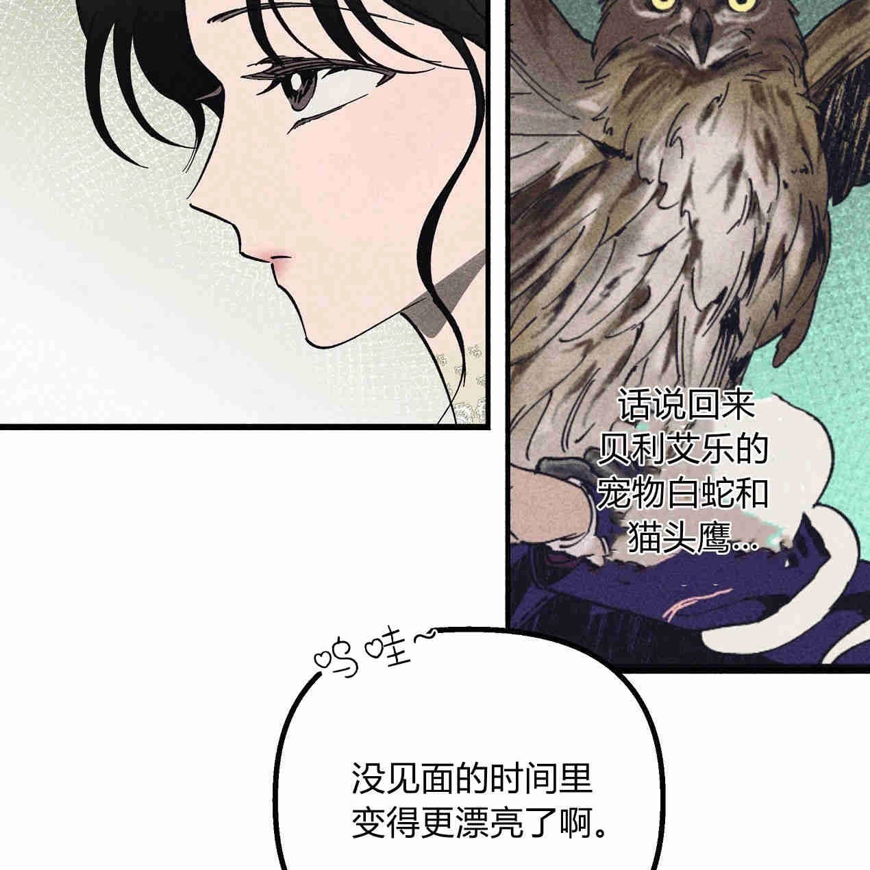 《魔女居住的岛屿》第41话 第52页