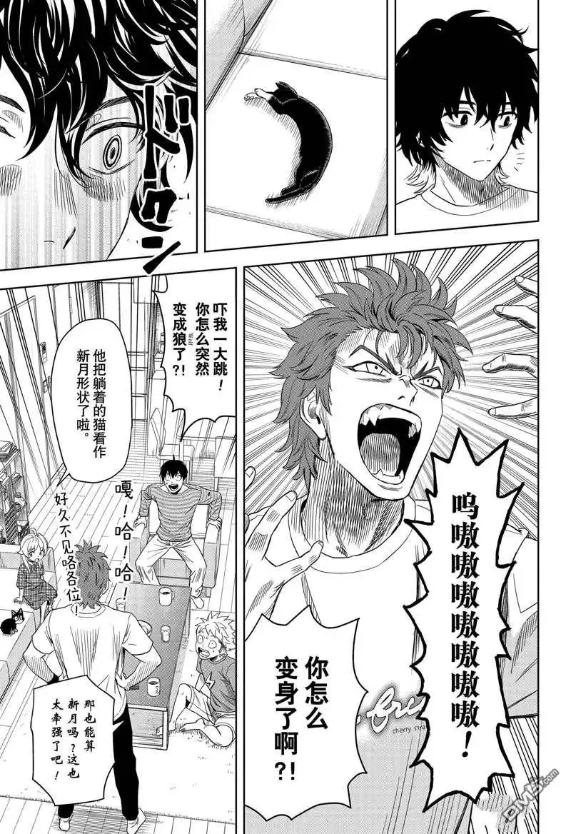 《魔女与使魔》第176话 第13页