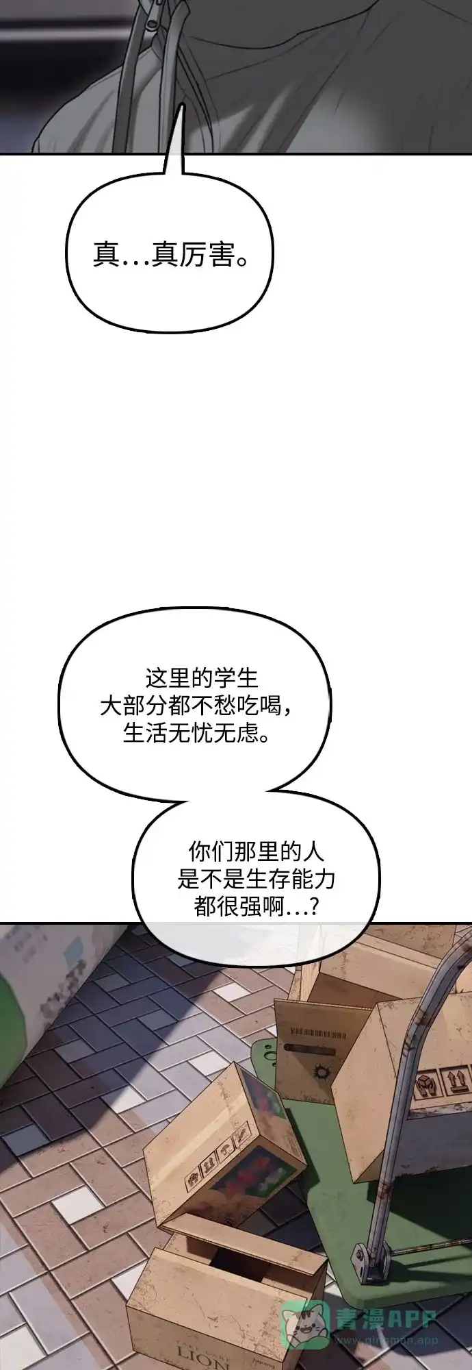 31.jpg