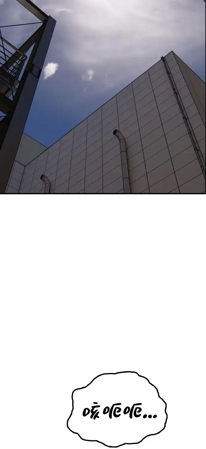 141.jpg