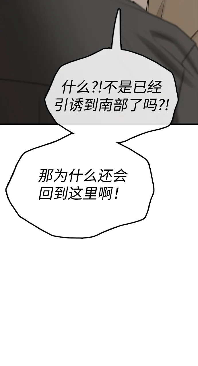 95.jpg