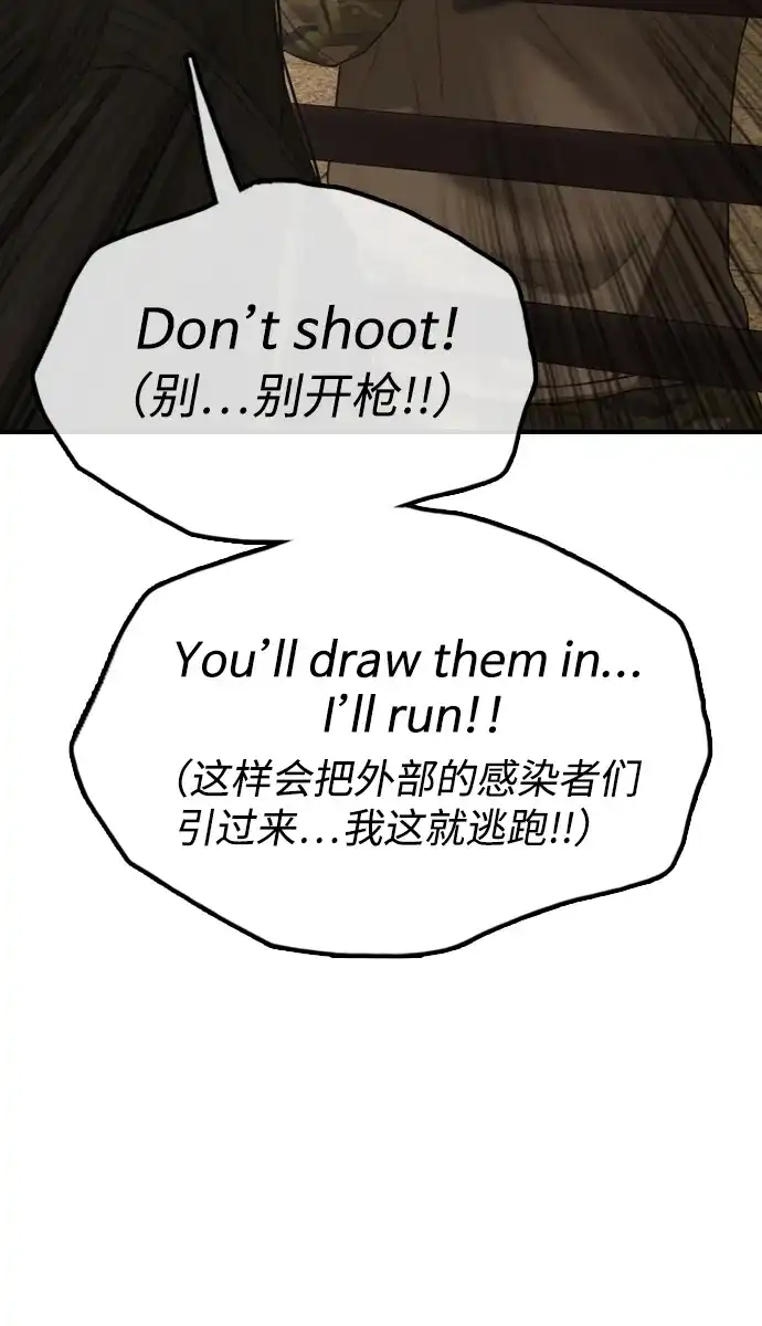 113.jpg