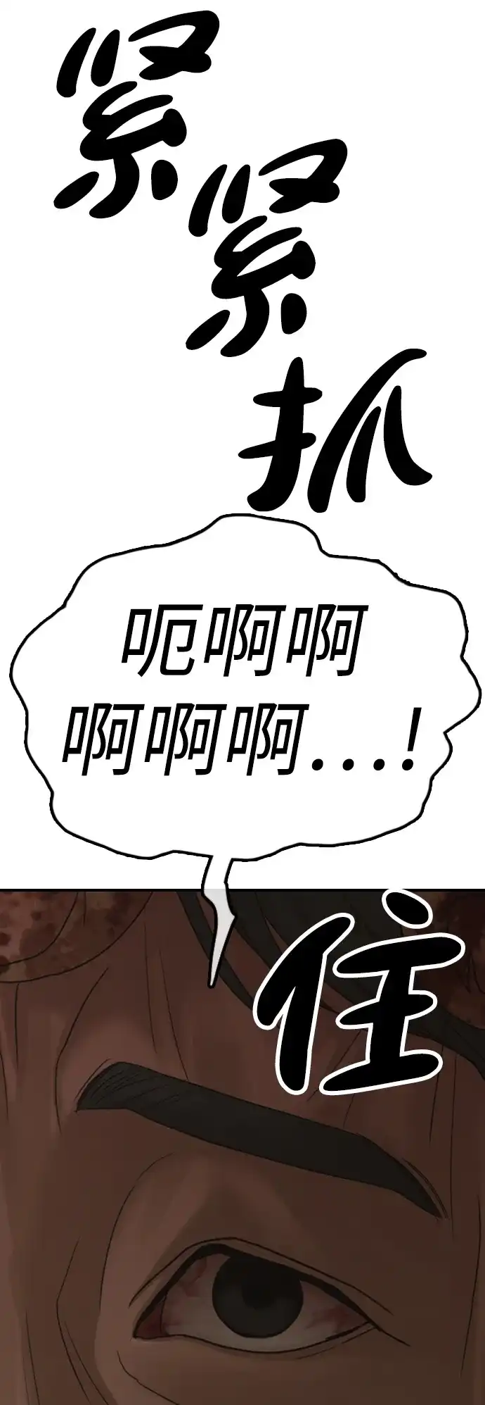 113.jpg